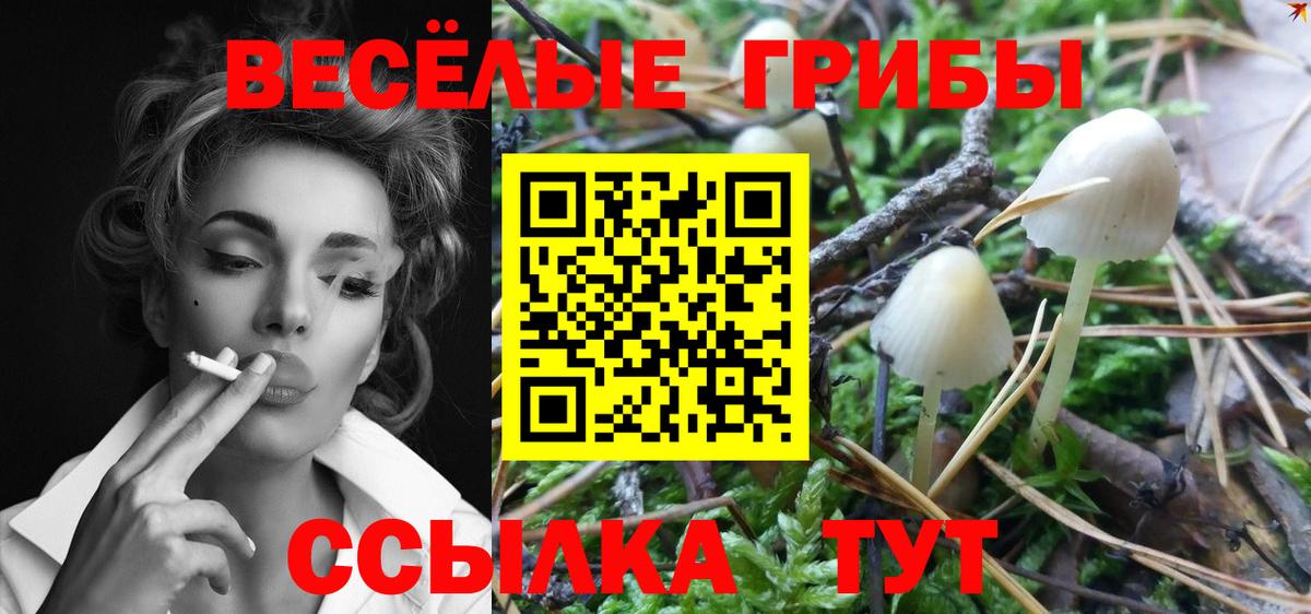 Псилоцибиновые грибы MAGIC MUSHROOMS  купить  сайты  Скопин  Вход с VPN 